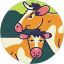 Ishita profile picture