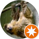 Zehnfinger- Faultier profile picture